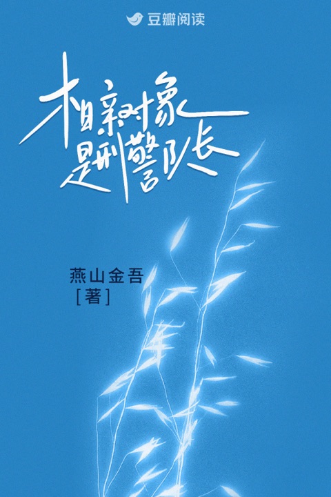 相亲对象是刑警队长视听定格照